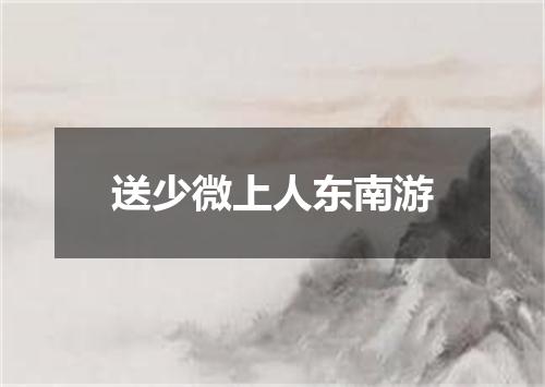 送少微上人东南游