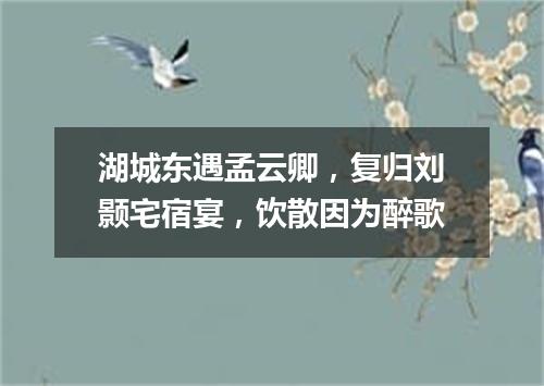 湖城东遇孟云卿，复归刘颢宅宿宴，饮散因为醉歌