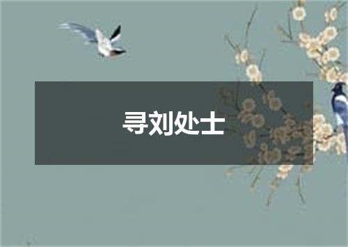 寻刘处士