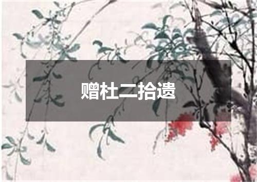 赠杜二拾遗