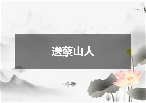 送蔡山人