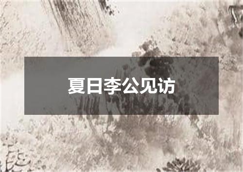 夏日李公见访
