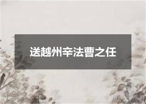 送越州辛法曹之任