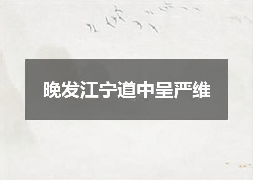 晚发江宁道中呈严维