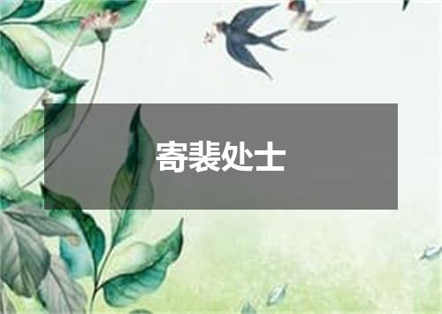 寄裴处士