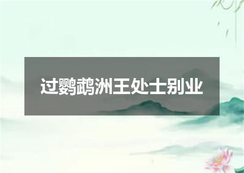 过鹦鹉洲王处士别业