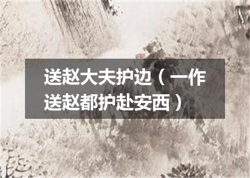送赵大夫护边（一作送赵都护赴安西）