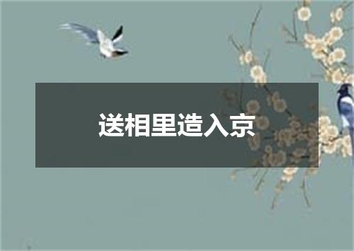 送相里造入京