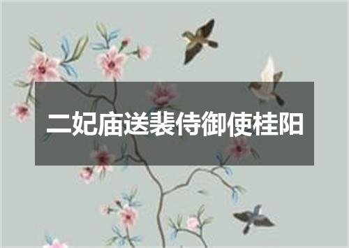 二妃庙送裴侍御使桂阳