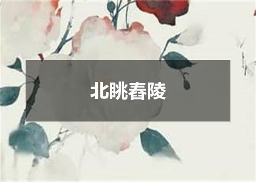 北眺舂陵