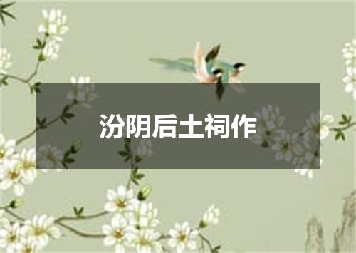 汾阴后土祠作