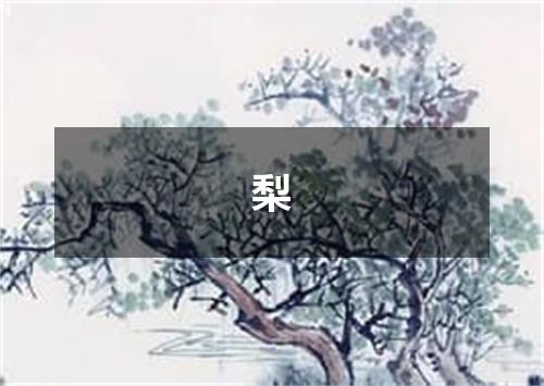 梨