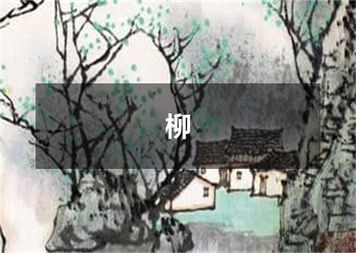 柳