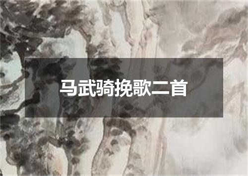 马武骑挽歌二首