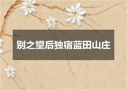 别之望后独宿蓝田山庄