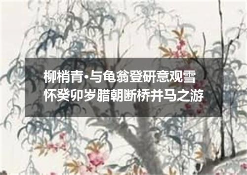 柳梢青·与龟翁登研意观雪怀癸卯岁腊朝断桥并马之游