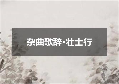 杂曲歌辞·壮士行