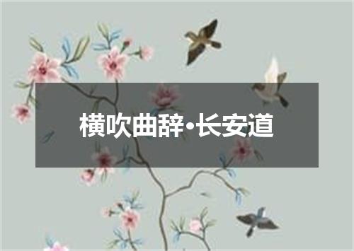 横吹曲辞·长安道