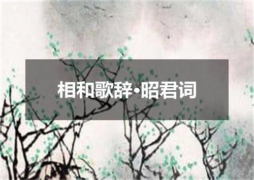 相和歌辞·昭君词