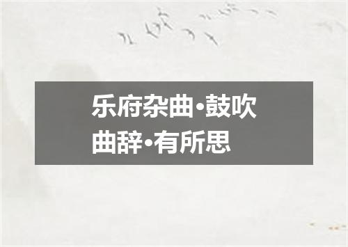 乐府杂曲·鼓吹曲辞·有所思