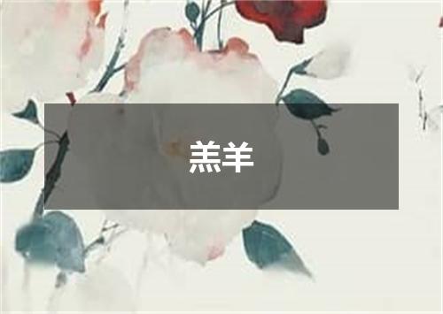 羔羊