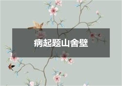 病起题山舍壁