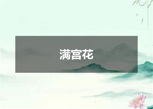 满宫花