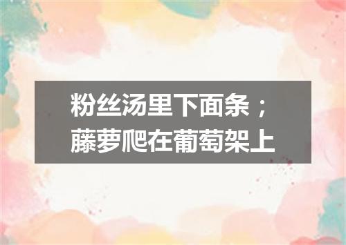 粉丝汤里下面条；藤萝爬在葡萄架上