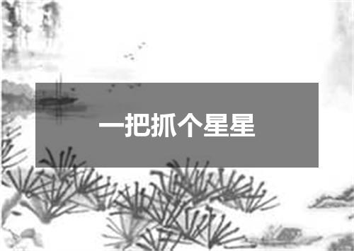 一把抓个星星