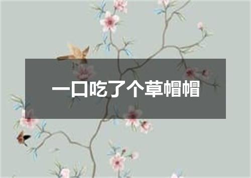 一口吃了个草帽帽