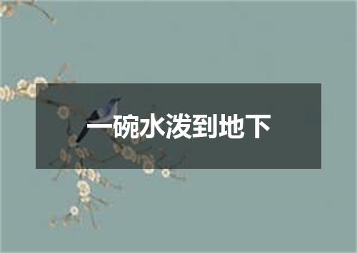 一碗水泼到地下