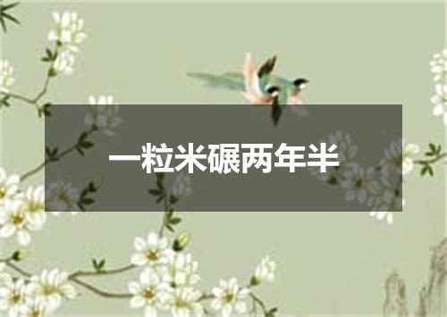 一粒米碾两年半