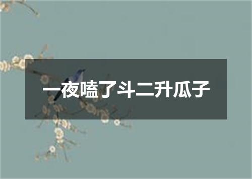 一夜嗑了斗二升瓜子