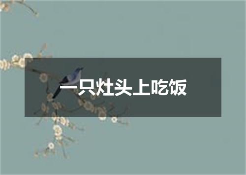 一只灶头上吃饭