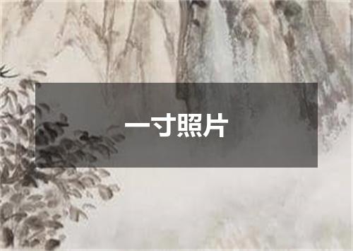 一寸照片