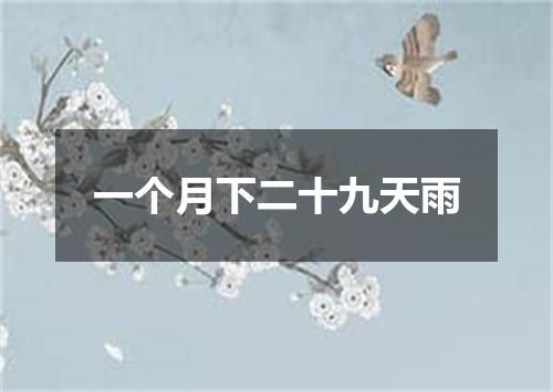 一个月下二十九天雨