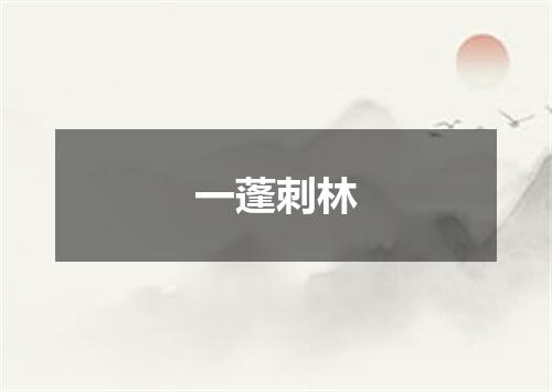 一蓬刺林