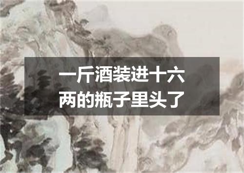 一斤酒装进十六两的瓶子里头了