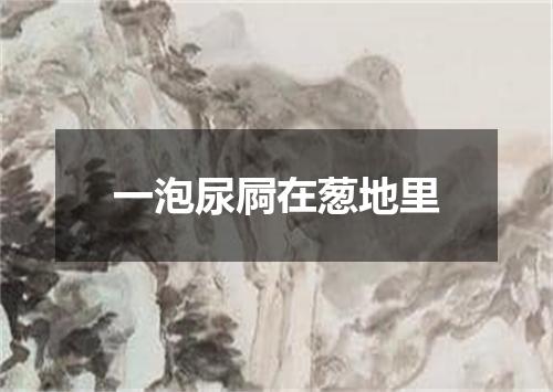 一泡尿屙在葱地里