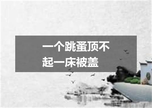 一个跳蚤顶不起一床被盖