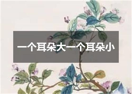 一个耳朵大一个耳朵小