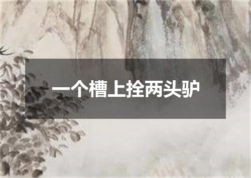 一个槽上拴两头驴
