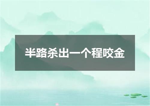 半路杀出一个程咬金