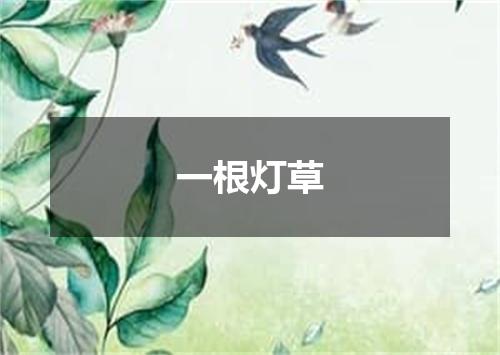一根灯草