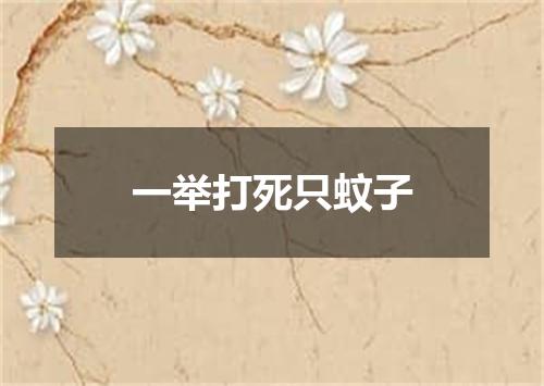 一举打死只蚊子