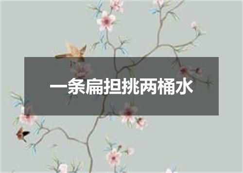 一条扁担挑两桶水