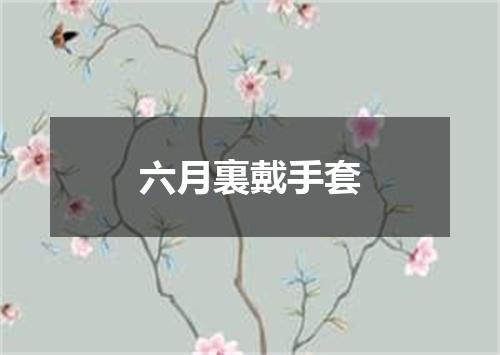 六月裏戴手套