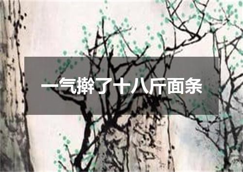 一气擀了十八斤面条