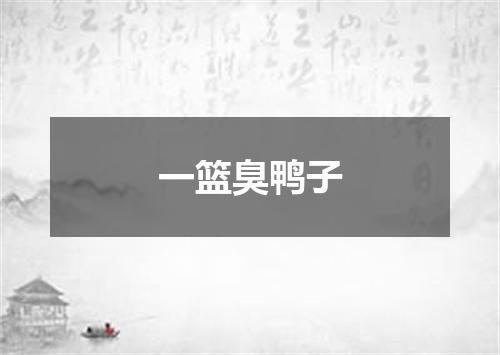 一篮臭鸭子