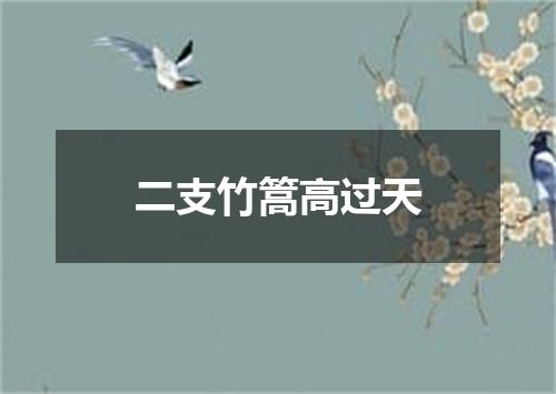 二支竹篙高过天